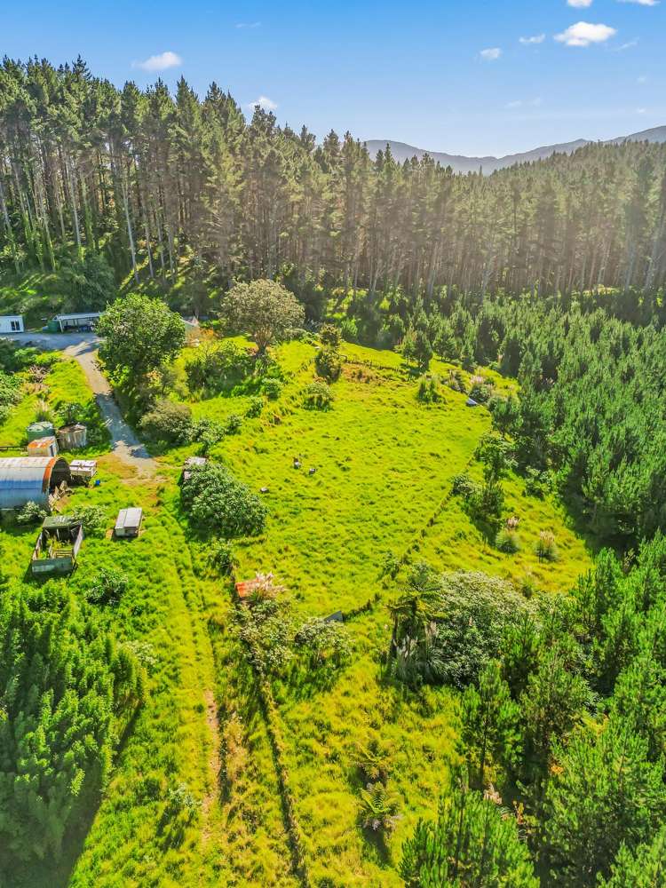 110 Whangape Track Road Broadwood_29