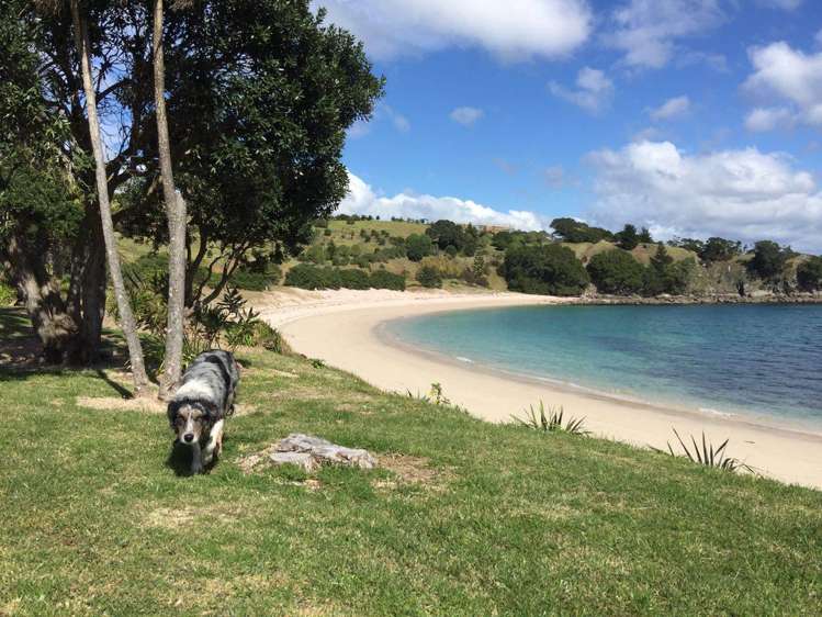 190 Pacific Ocean, Slipper Island (Whakahua) Thames_12