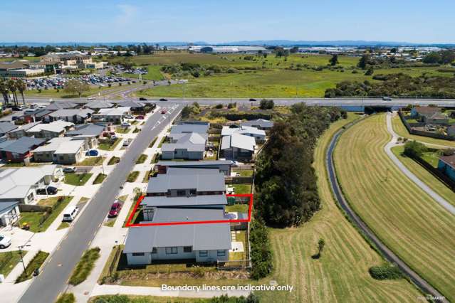 20 Totara Meadows Court Wiri_3