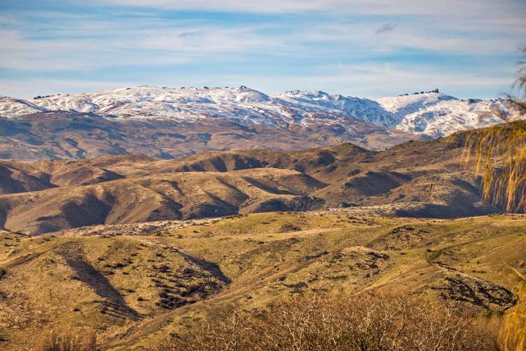 118A Jocelyn Road Bannockburn_19