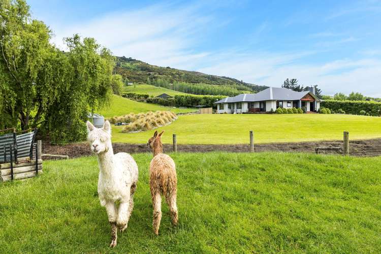 34 Tara Hills Drive North Taieri_25