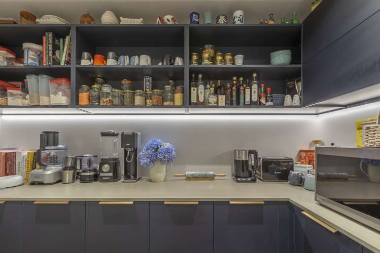 61b Holly Street Avondale_12