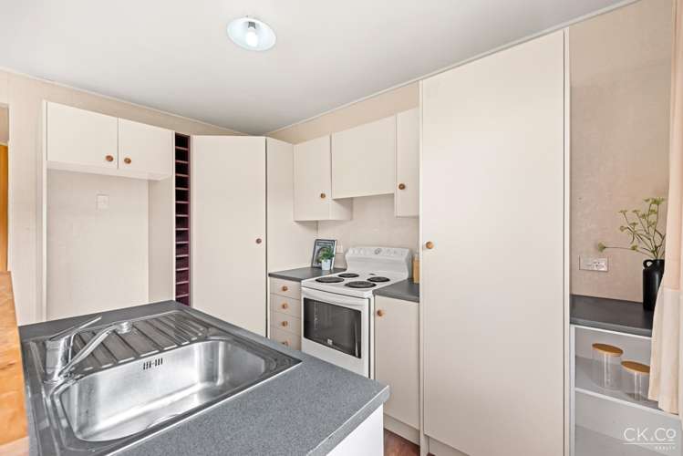 63f Black Beech Street Birchville_7