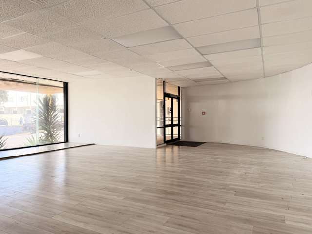 127 Newton Road Eden Terrace_4