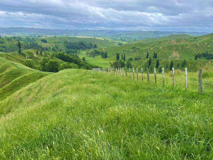 174 Clydebank Road Wairoa_8