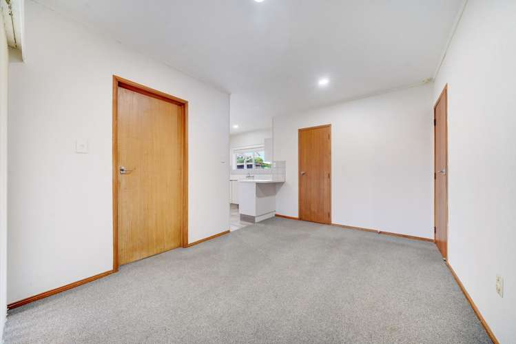 20 Sunnypark Avenue Rosehill_3