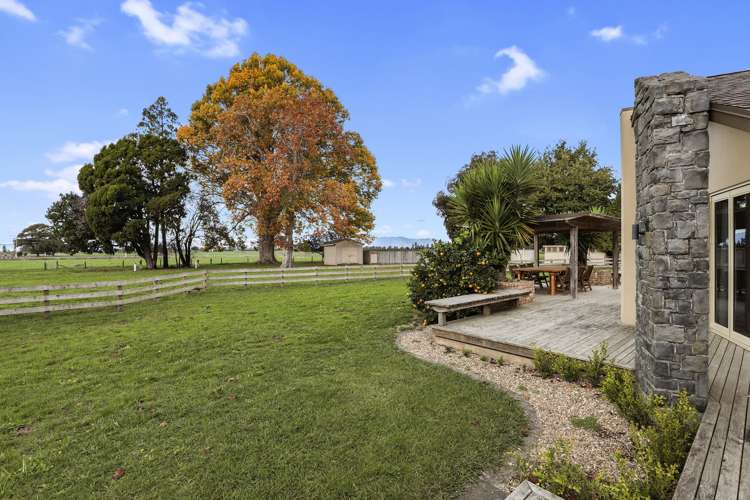 942 Horrell Road Morrinsville_22