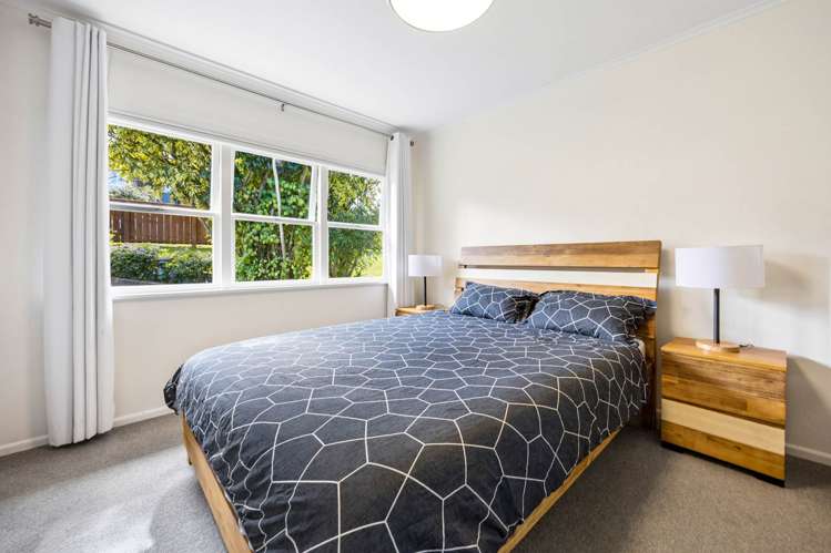 7 McIlroy Avenue Hillsborough_12