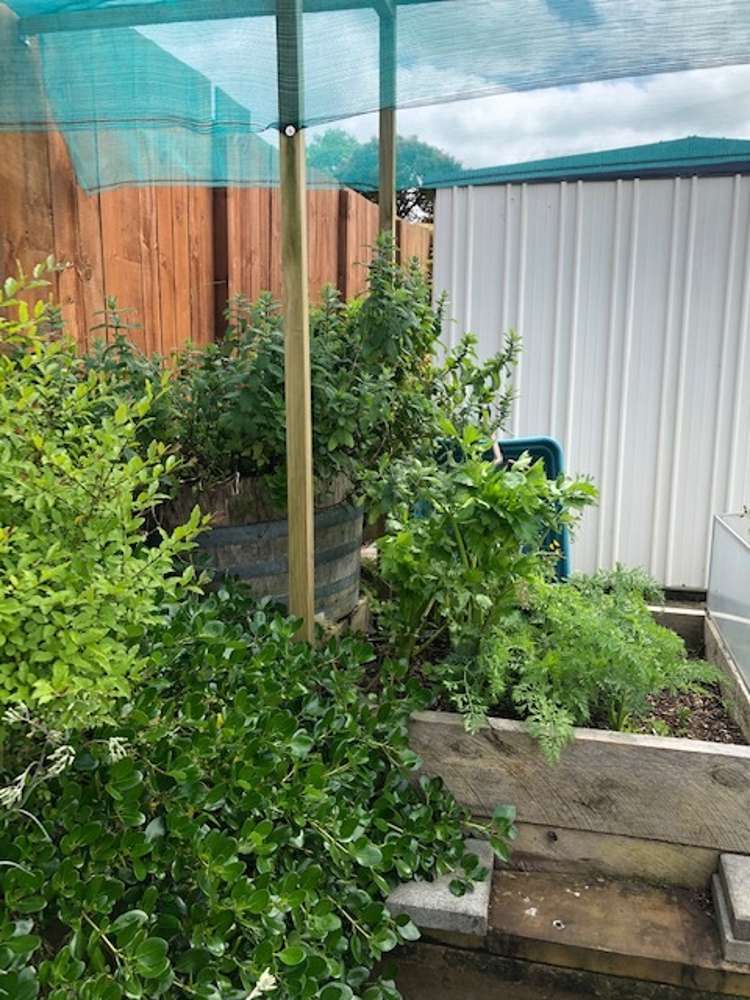 30 Roto Street Te Kauwhata_15