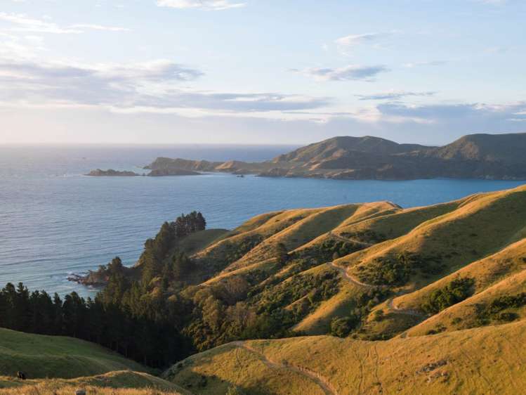 5193 Croisilles-French Pass Road Marlborough Sounds_18