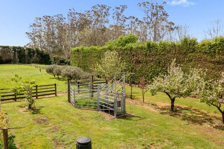 96b Jensen Road Kaimai_47