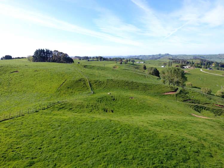 127 Tate Road Te Kuiti_35