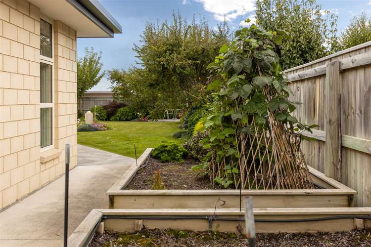 217 Taylor Pass Road Witherlea_30