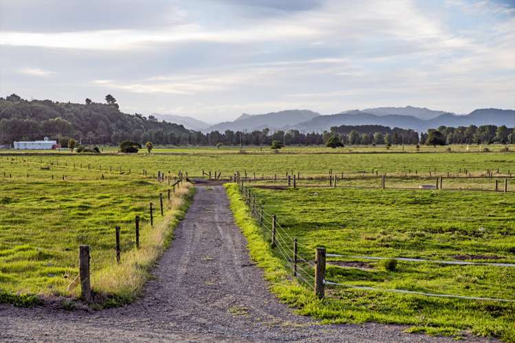 30 Snell Road Opotiki Coastal_14