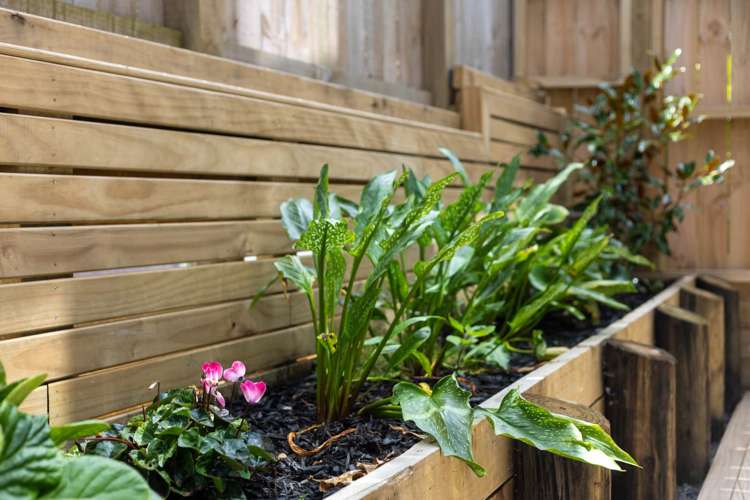 9C Catalina Crescent Forrest Hill_26