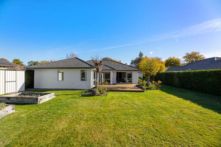 155 Taylor Pass Road Witherlea_22