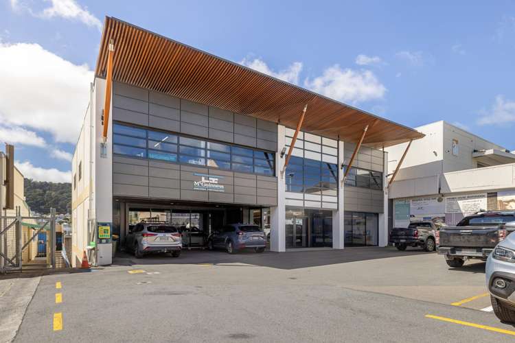 9 Francis Place Te Aro_0