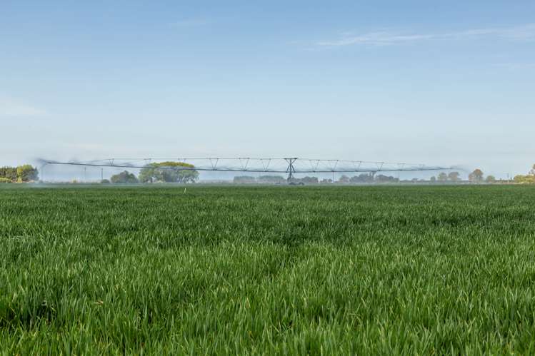 Selwyn Lake Road Leeston_14