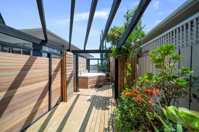 14 Mount View Place Spotswood_4