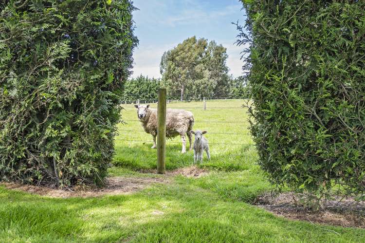 777 Ellesmere Road Lincoln_23