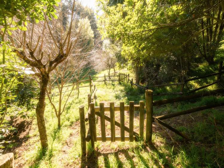 505 Old Highway Whakamarama_14