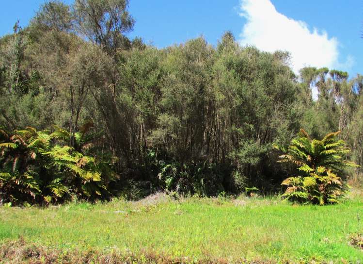 1712 State Highway 7 Moana / Lake Brunner_53