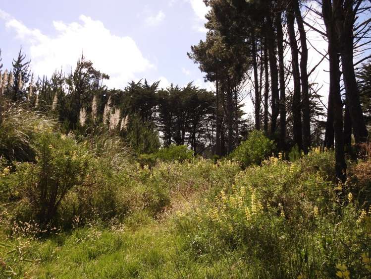 74b Himatangi Street Himatangi Beach_20