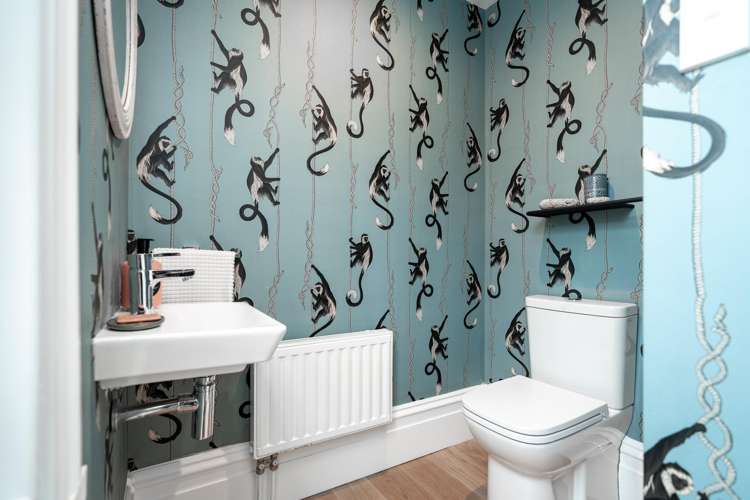 18 Austin Street Mount Victoria_27