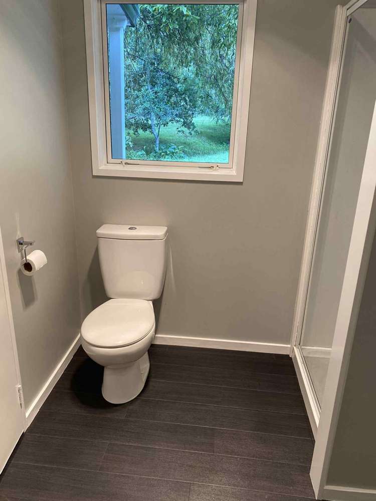 435 Pine Valley Road Dairy Flat_68