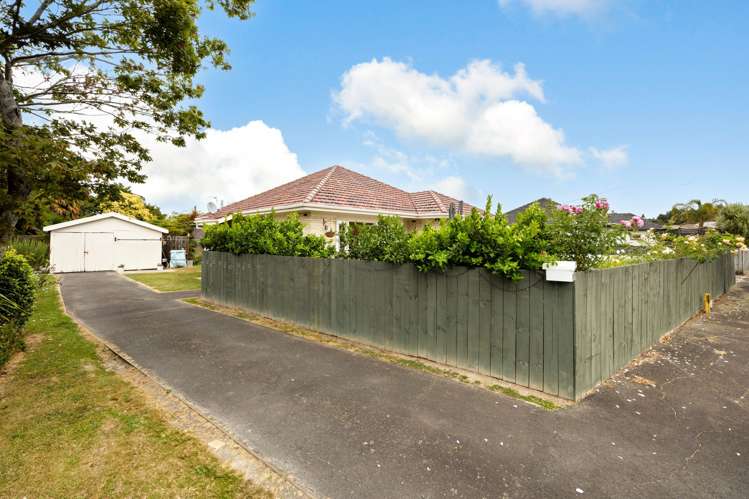 36 Pearsons Avenue Claudelands_18
