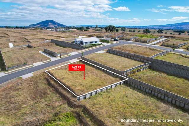 Lot 93, 116 Sierra Place, Frontier Estate Te Awamutu_3
