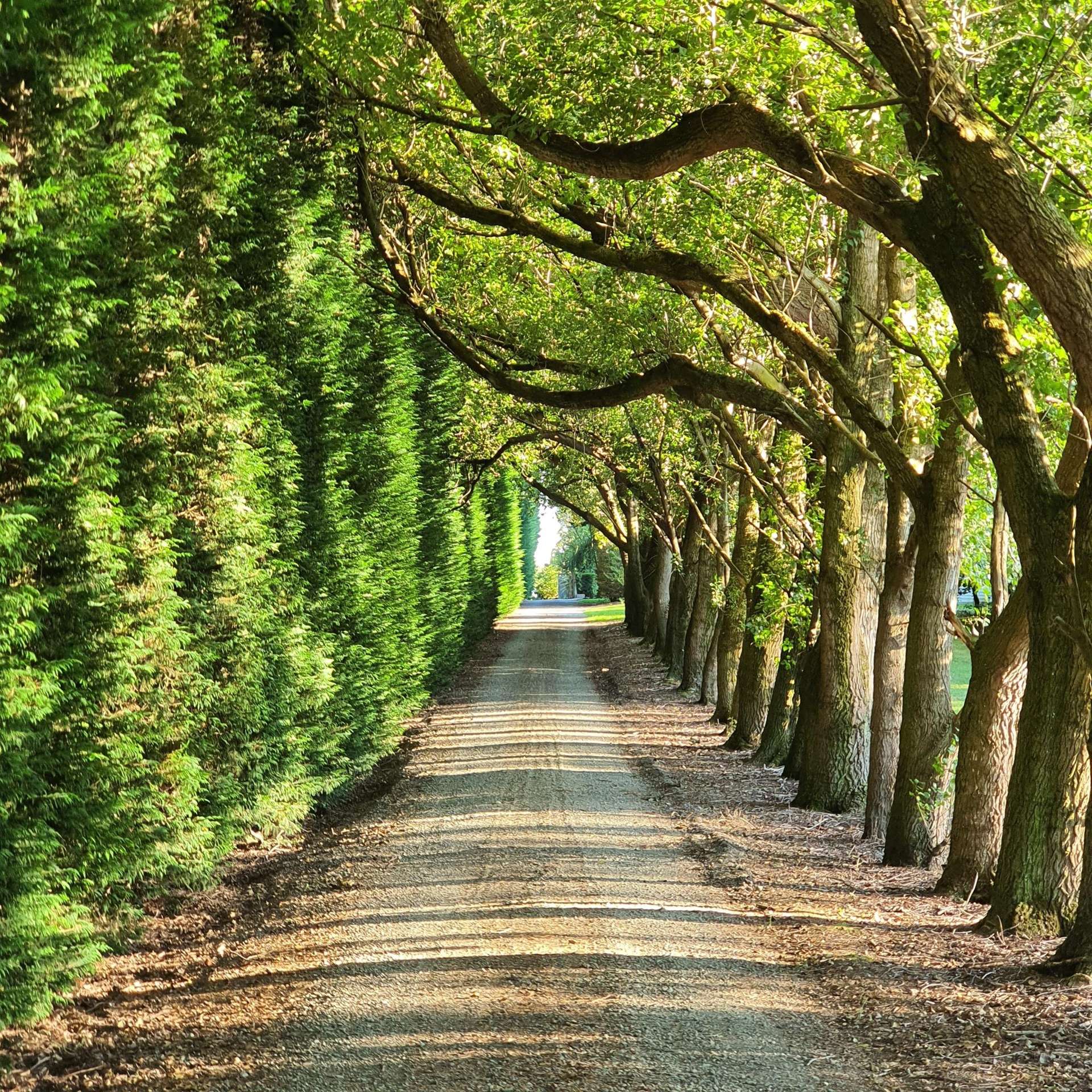 459 Flora Road Makarewa_0