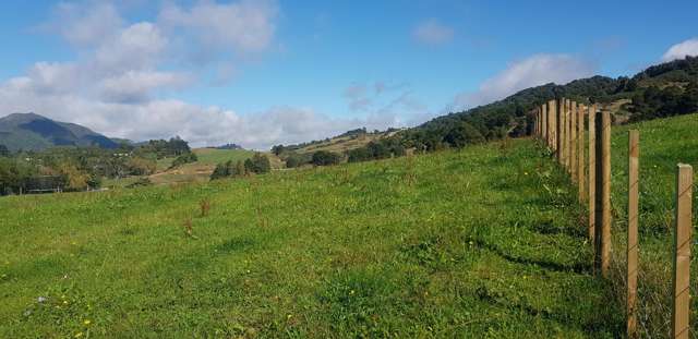 Poland Street Waikino_4