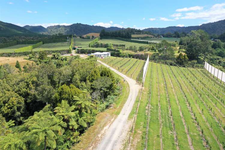 1335a No 3 Road Te Puke_19