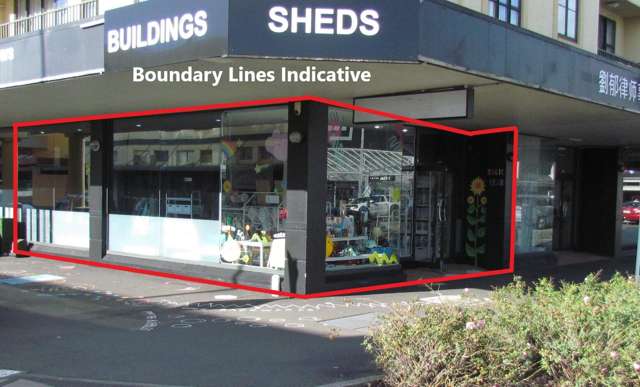 64 Rangitikei Street Central_1