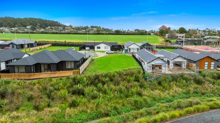 16 Te Ara Hikoi Pukekohe_5