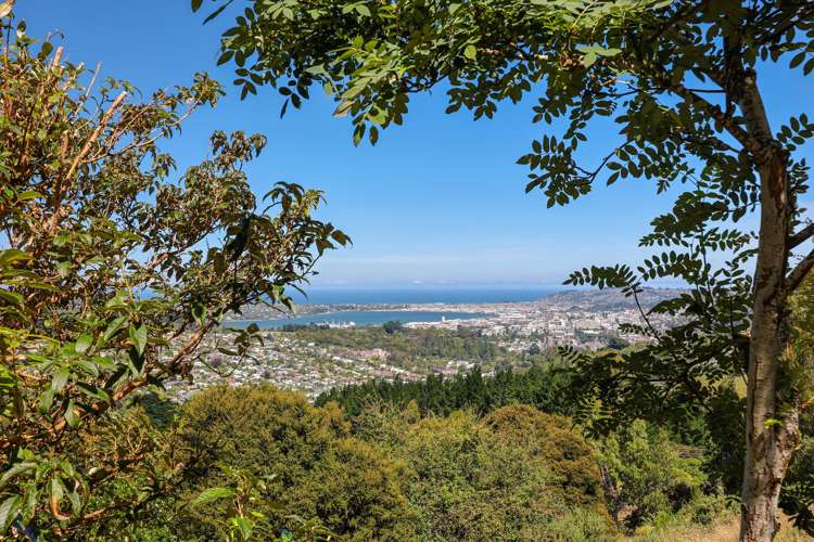 30 Dalrymple Street Pine Hill_29