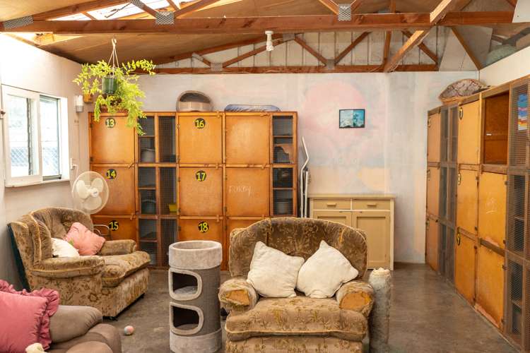 721 State Highway 25 Waitakaruru_9