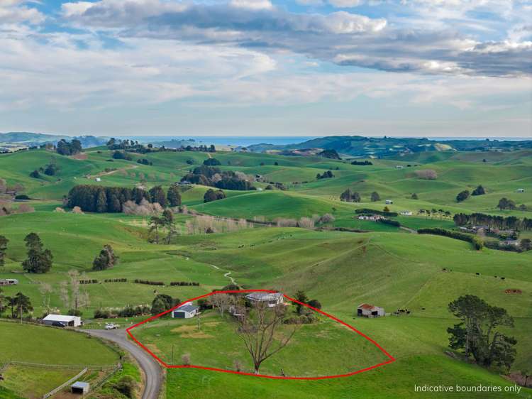 98a Houchen Road Raglan_6