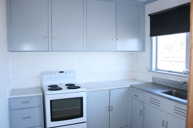 17b Parsons Street Vogeltown_2