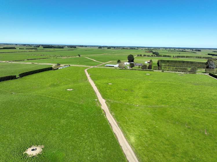 12 Shand Road, Farm 1 Rimu_2