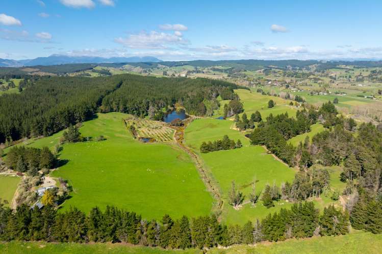 240 George Harvey Road Upper Moutere_8