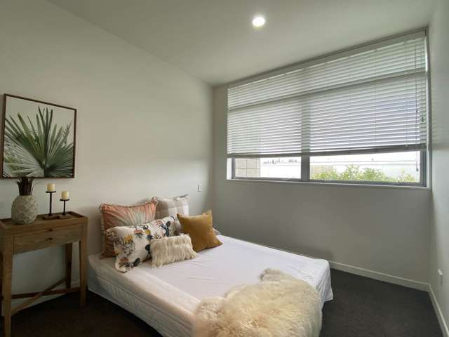 427 Murphys Road Flat Bush_4