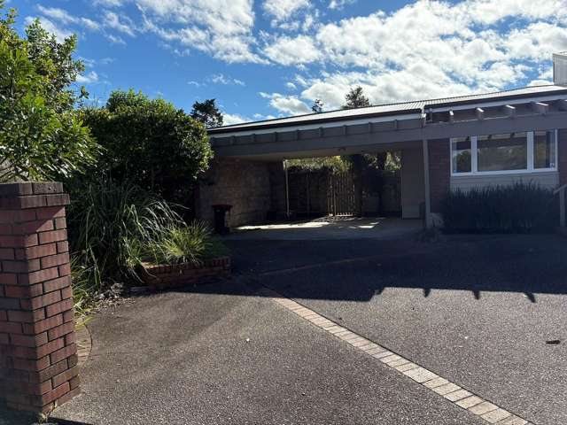 3 Bailey Avenue Claudelands_1