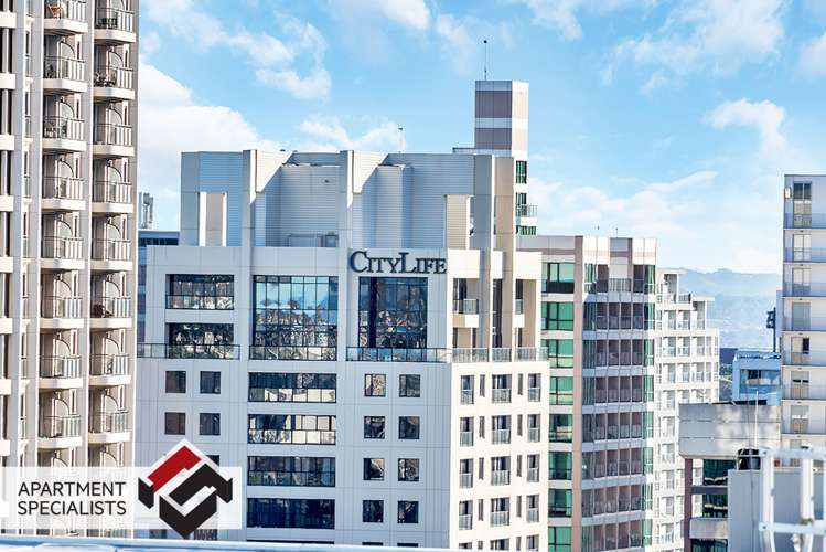 171 Queen Street Pukekohe_2