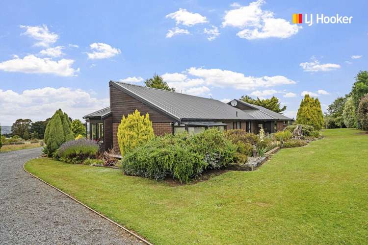 43 Halfway Bush Road Halfway Bush_27