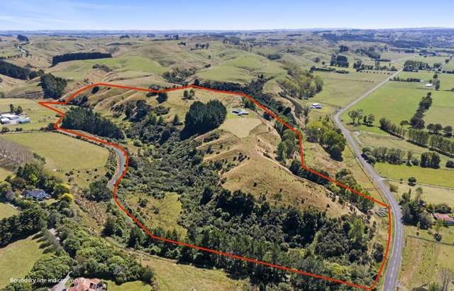 377 Pohangina Road Ashhurst_4