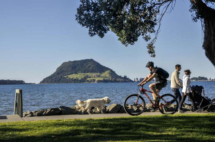 529a Otumoetai Road Matua_23