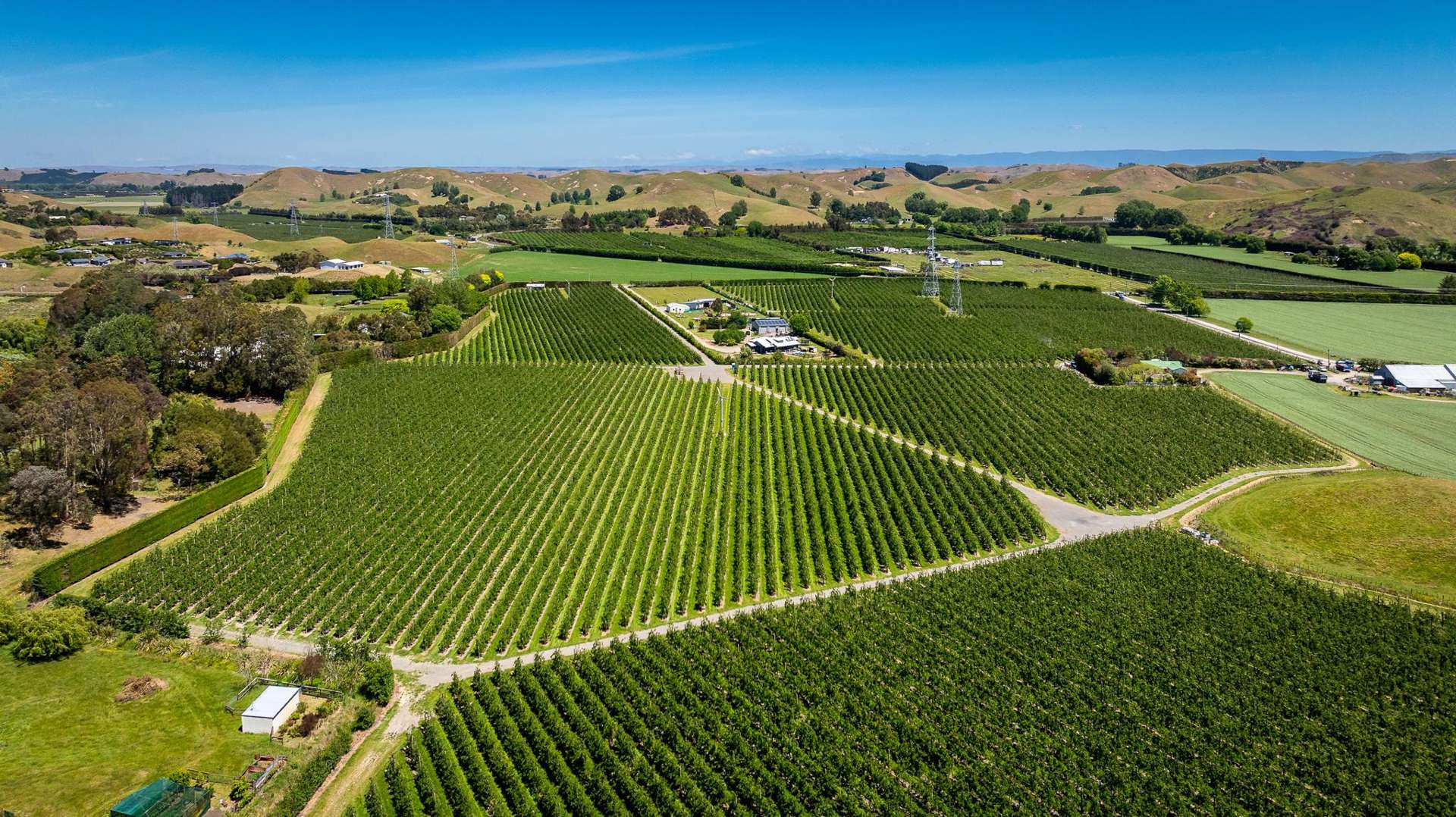 490 Puketitiri Road, Puketapu Napier South_0