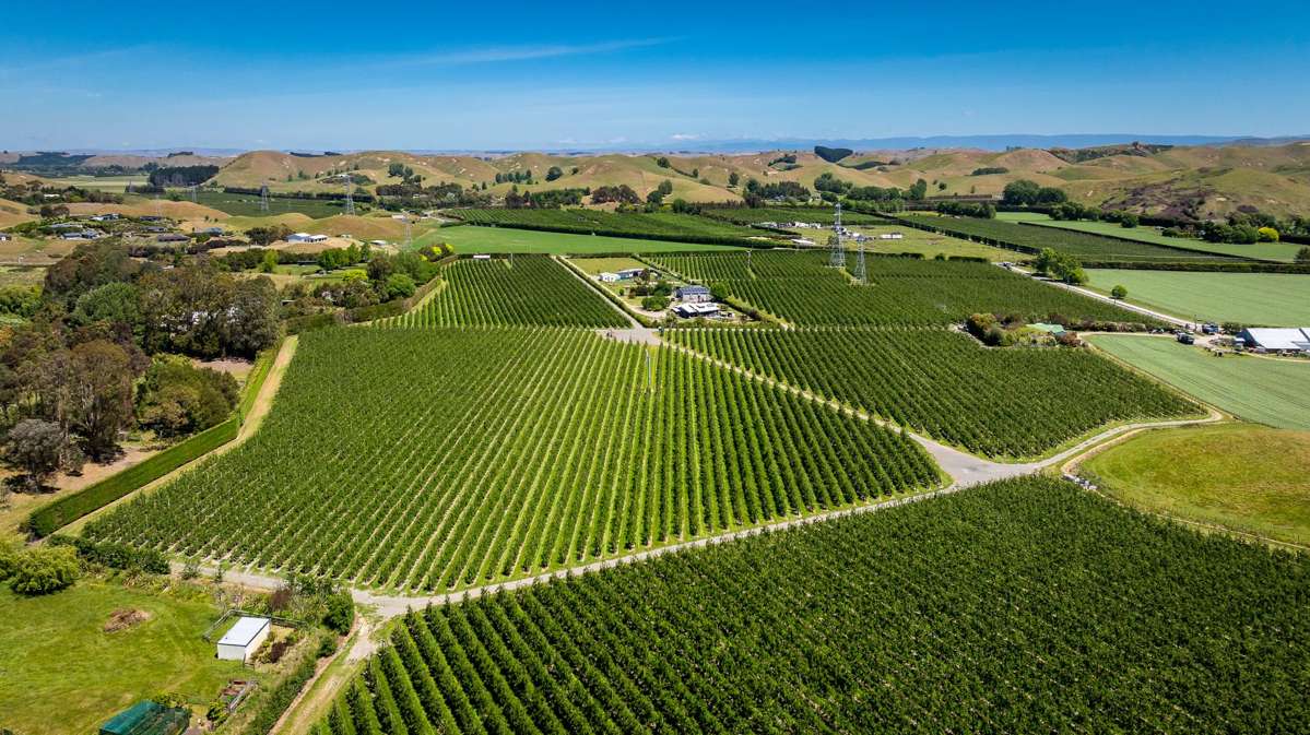 490 Puketitiri Road, Puketapu_0